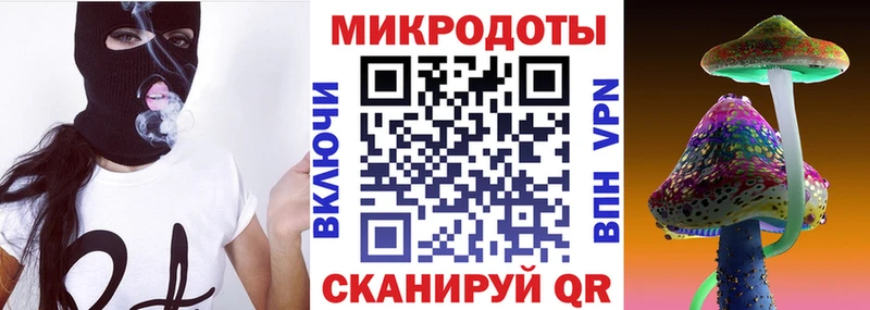 Галлюциногенные грибы Psilocybe  Бирск 